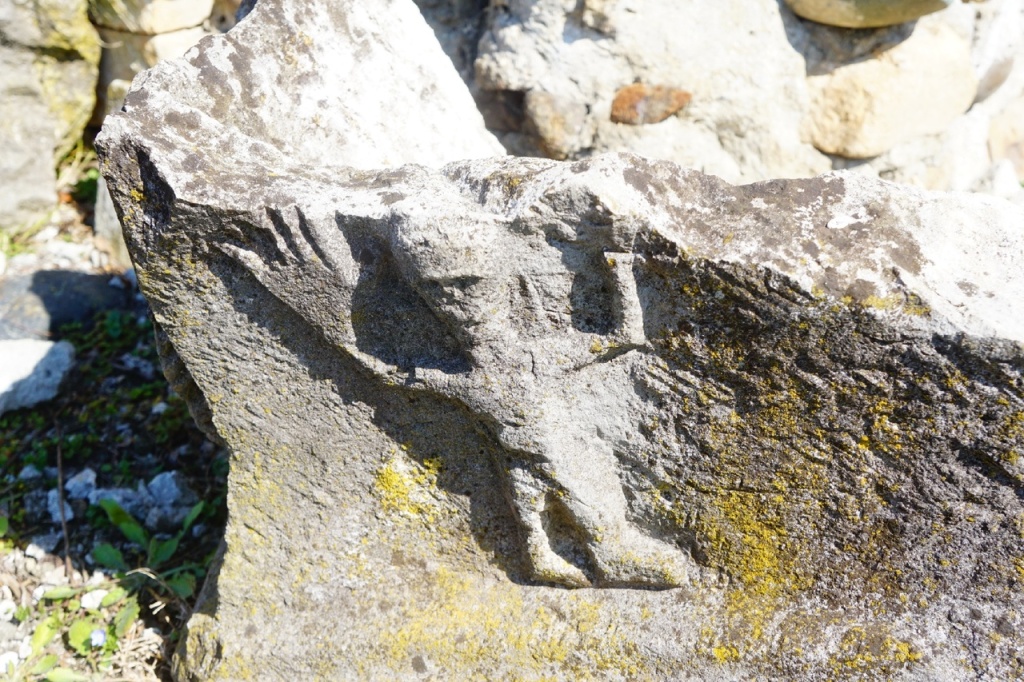 Инопланетянин Че Охваме.jpg