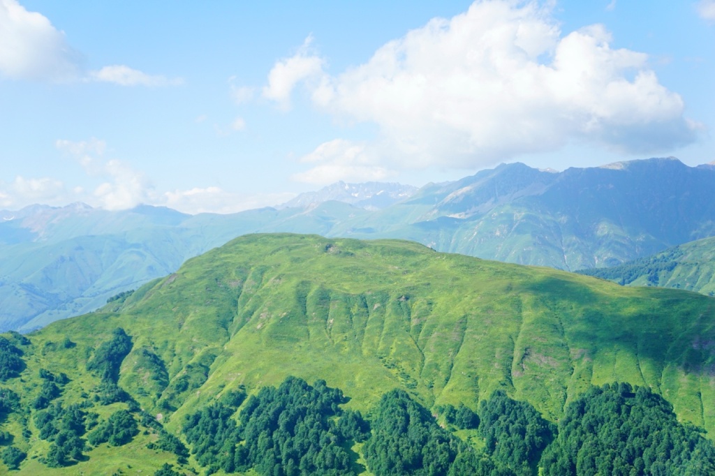 Ацетука хребет виды.jpg