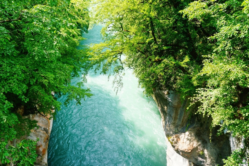 Каньон Кодора с Чертова моста.jpg