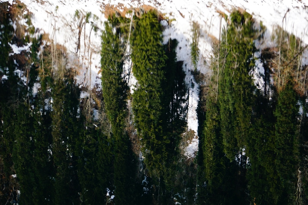 Малая Рица январь.jpg