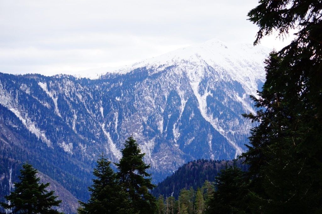 Горы по дороге на Малую Рицу.jpg