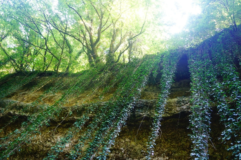 Каньон Бариал.jpg