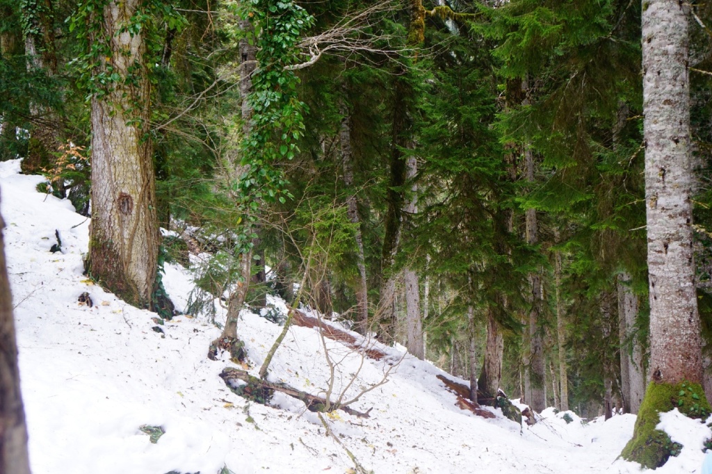 Подъем на Малую Рицу зимой.jpg