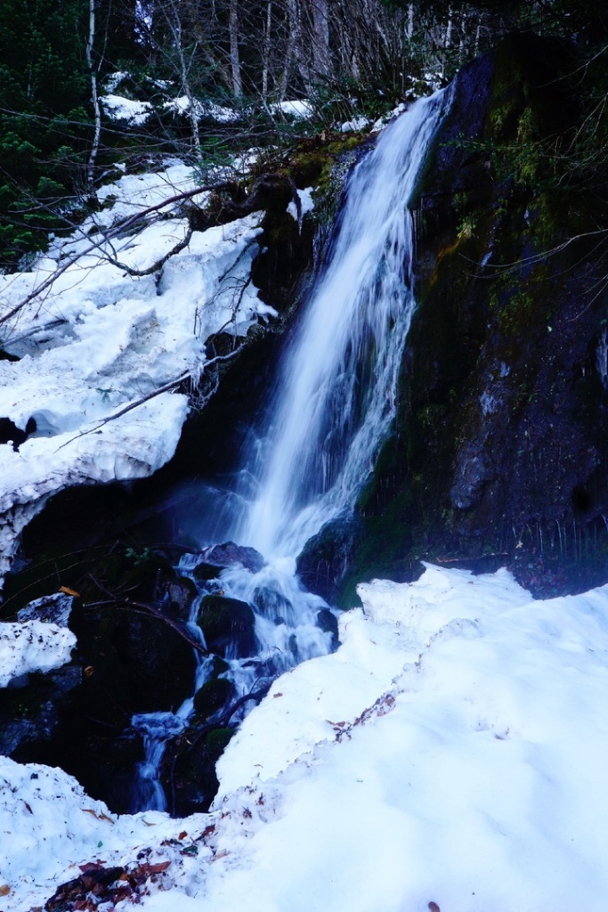 Птичий водопад зимой.jpg
