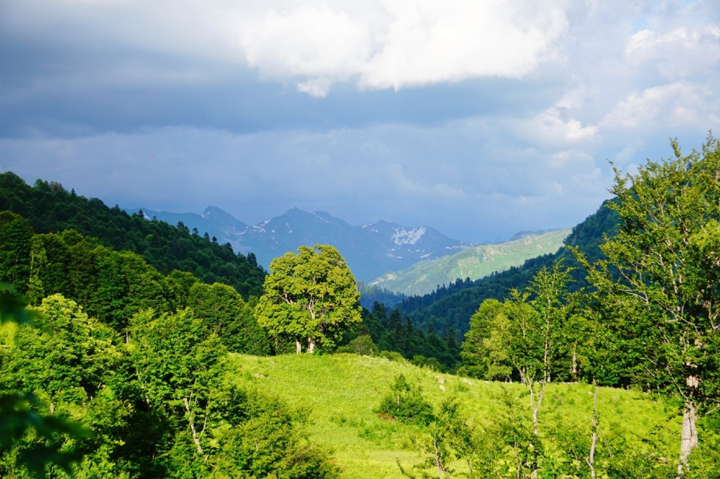 Мзы выход к альпийским лугам.jpg