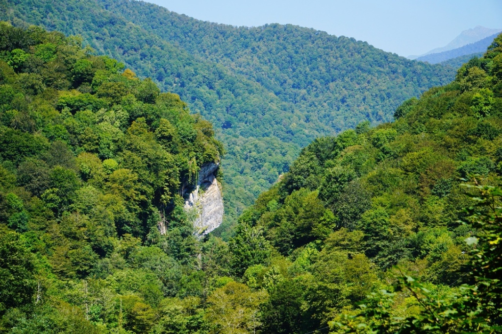 Скала Черепаха Абхазия.jpg