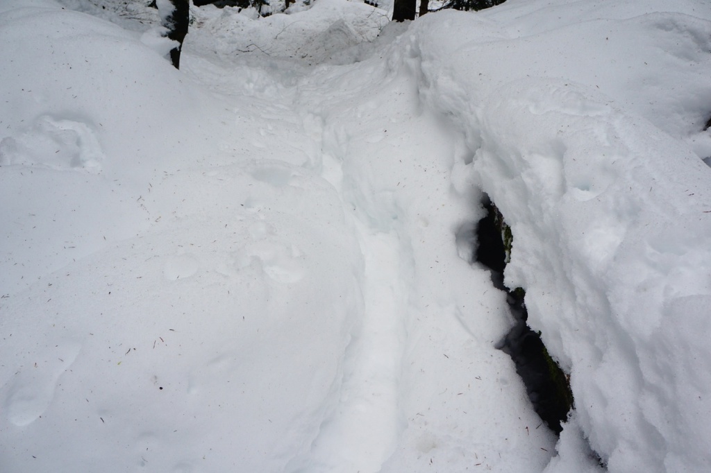 Снег по дороге на Малую Рицу.jpg