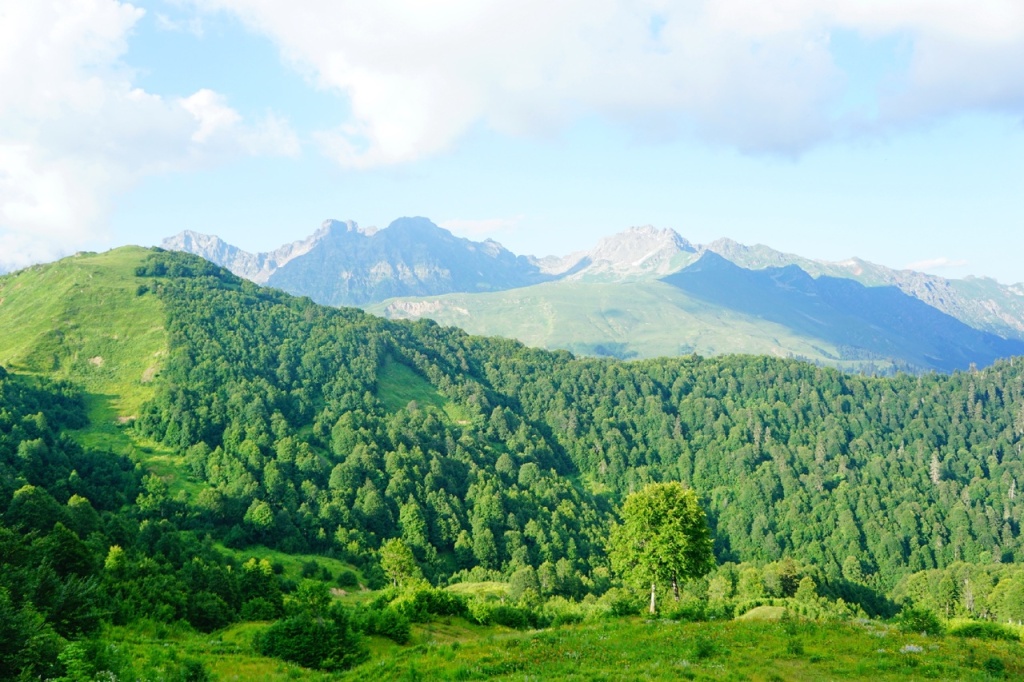 Ацетука горы.jpg