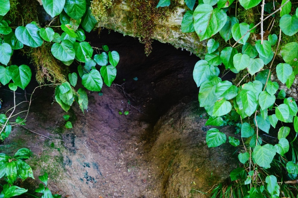 Вход в Яснополянскую пещеру.jpg