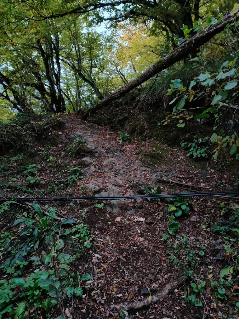 Тропа к водопаду Верхний Джирхва.jpg