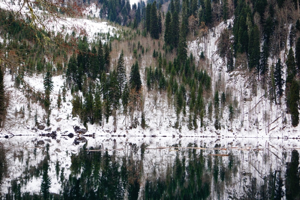 Малая Рица в снегу.jpg