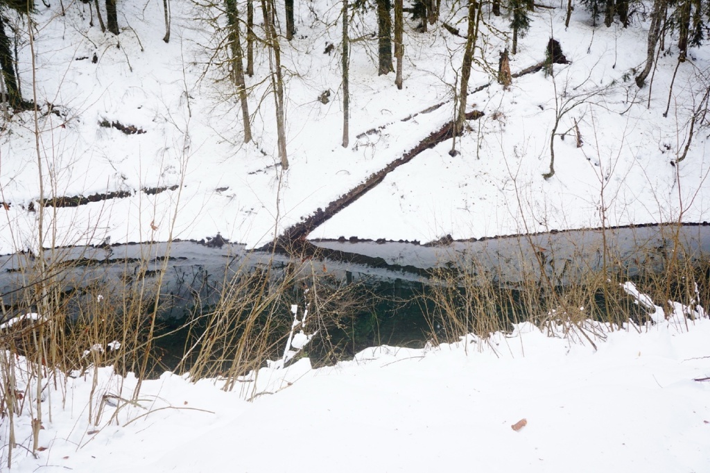 Пересыхающее озеро по дороге к Малой Рице.jpg