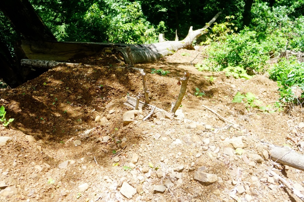 Спуск к водопаду Ткуарчал.jpg